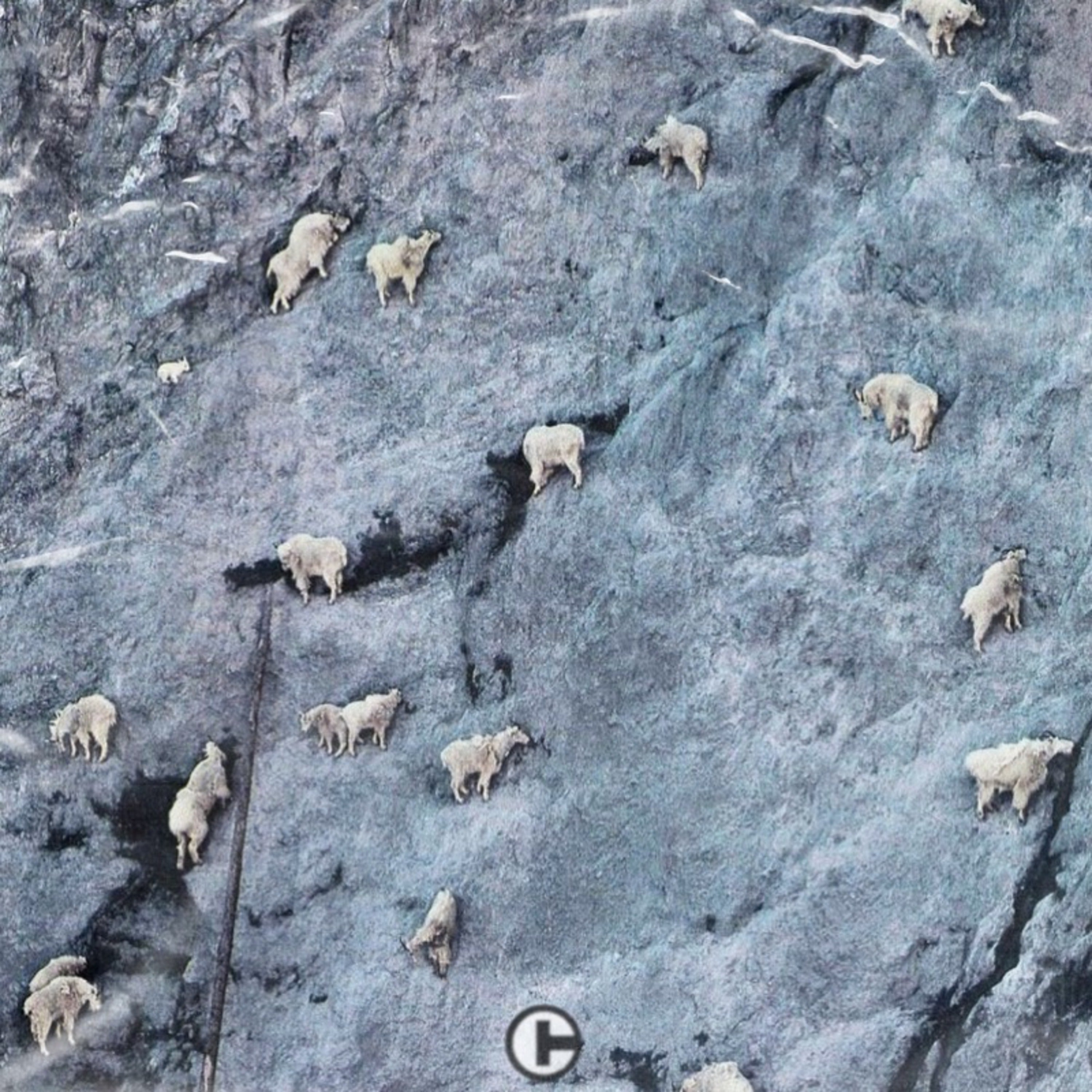 Chris True - LIFT UP (Digital Album)